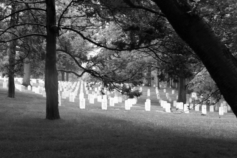 Arlington Cemetery, by William Dishong, M10