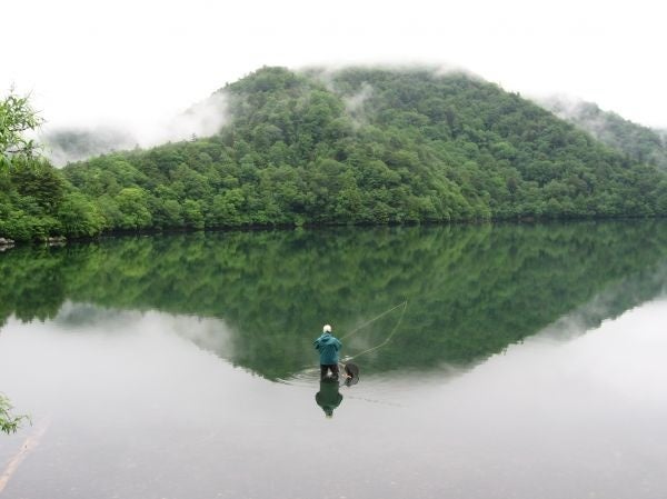 Tree and Lake, by Maki Sato, M12