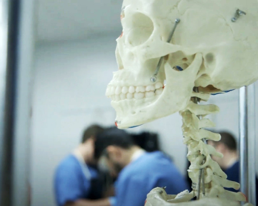 A skeleton in the foreground with students in anatomy lab in the background
