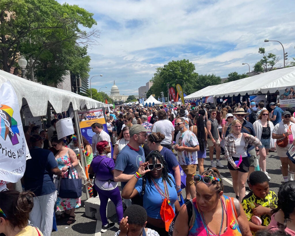 A large crowd of people mill around at Pride Fest
