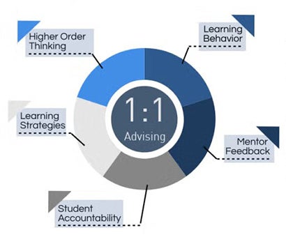 A pie chart represents advising areas: Higher Order Thinking, Learning Behavior, Mentor Feedback, Student Accountability, and Learning Strategies